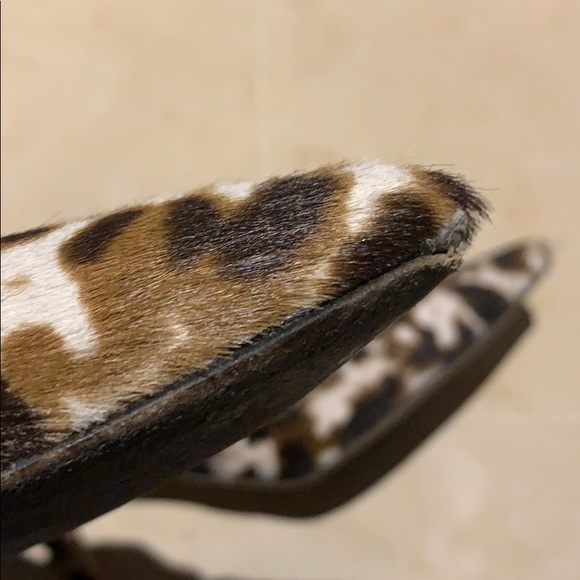 J Crew Collection Colette - Picture 9 of 12